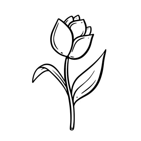Premium Vector A Black And White Drawing Of A Tulip