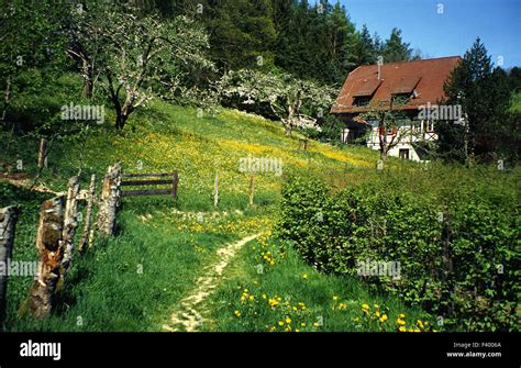 Gelbes Bauernhaus Fotos Und Bildmaterial In Hoher Aufl Sung Alamy