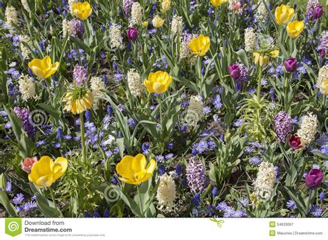 Check out our various flowers selection for the very best in unique or custom, handmade pieces from our shops. Various flowers. stock image. Image of flowerbed, objects ...