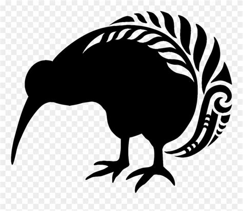 Kiwi Bird Clipart Maori Pattern New Zealand Kiwi Fern