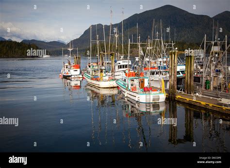 Boote In Tofino Vancouver Island Beherbergte Stockfotografie Alamy