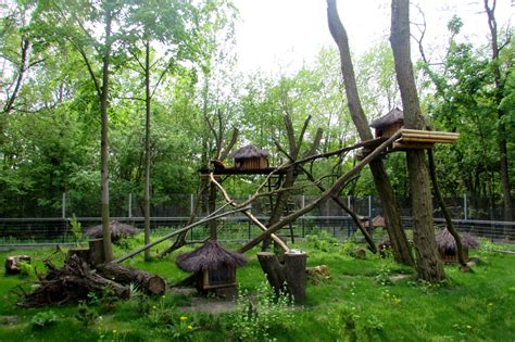 Red Pandas Enclosure 052015 Zoochat