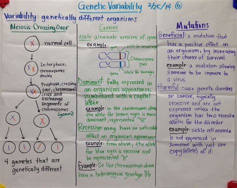 Genetic Variability Biology Glad Anchor Chart Biology Glad Charts