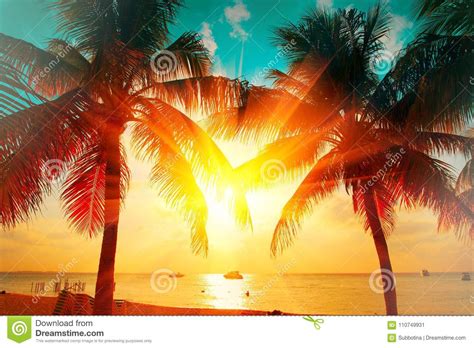 Sunset Beach With Tropical Palm Tree Over Beautiful Sky