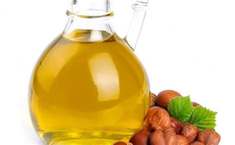 Benefits And Uses Of Hazelnut Oil Beneficialplant