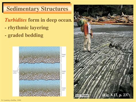 Ppt Sediments And Sedimentary Rocks Powerpoint Presentation Free