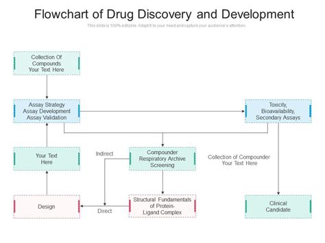 Flowchart Of Drug Discovery And Development Presentation Graphics