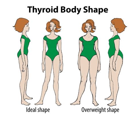 Your Body Type Is Thyroid Liver Doctor