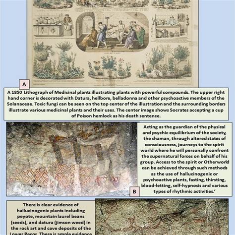 Archeological Evidence Of Magic Mushrooms From Ancient Anatolian