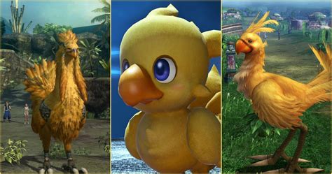 Final Fantasy 10 Things You Didnt Know About Chocobos