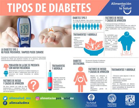 Tipos De Diabetes Alimentación Y Salud