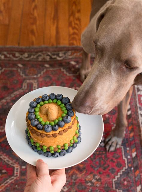 Dog Birthday Cake Recipe Meatloaf And Veggies 17 Apart