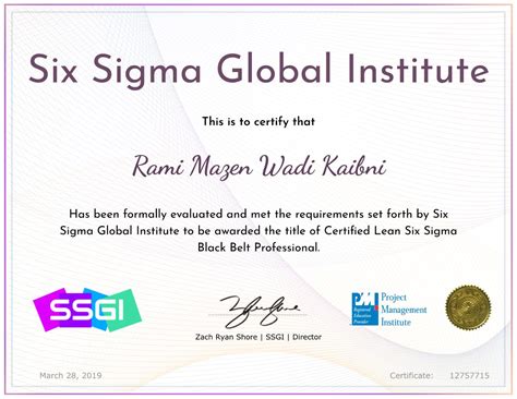 Lean Six Sigma Black Belt Professional Lssbb Rmk Coaching