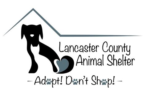 Lancaster County Animal Shelter Lancaster South Carolina