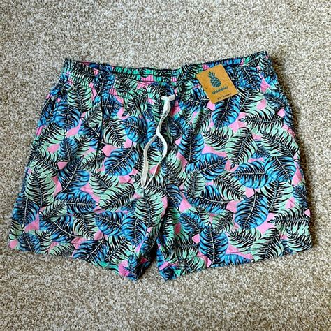 Chubbies Swim Chubbies Seersucker Swim 55 Poshmark