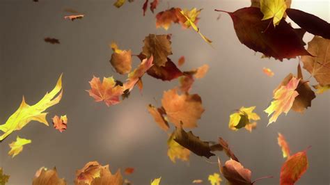 Falling Leaves 10 Free Hq Online Puzzle Games On