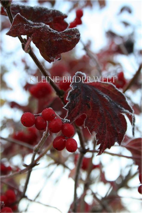 Es gibt zwar noch schöne und warme tage, aber der herbst ist auch die vorstufe zum winter, wo die kälte einzieht. Die kleine Bilderwelt: Wann ist es Herbst?