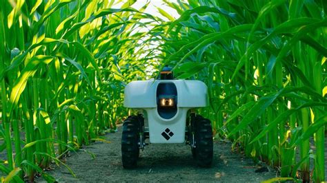 Farms Are Going To Need Different Kinds Of Robots Bbc News