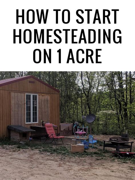 How To Start Homesteading On 1 Acre Acre Homestead Backyard Farming