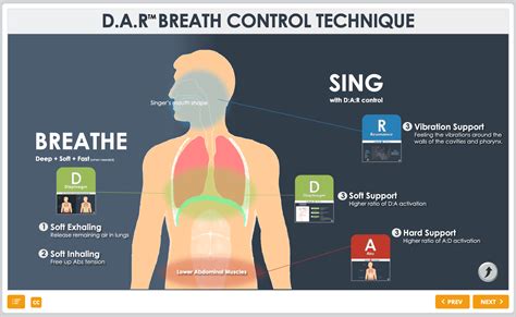 What Is Sing With Your Diaphragm Hark Music School Singapore