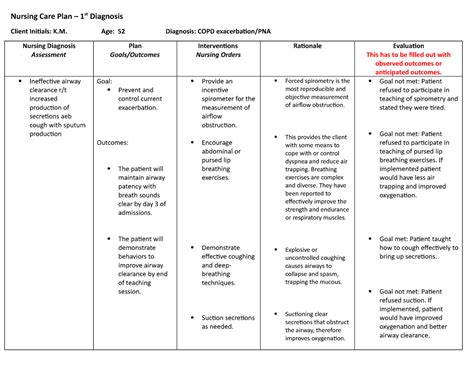 COPD Nursing CARE PLAN Nursing Care Plan 1st Diagnosis Client