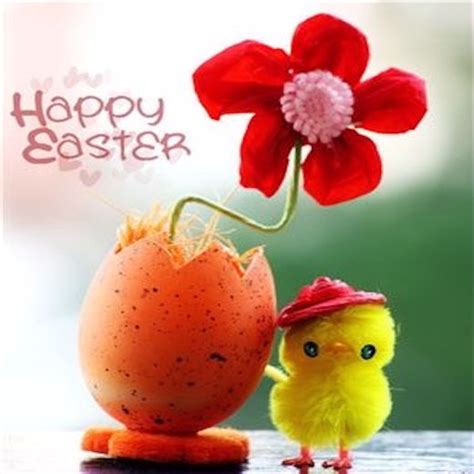 Cute Happy Easter Pictures Photos And Images For Facebook Tumblr