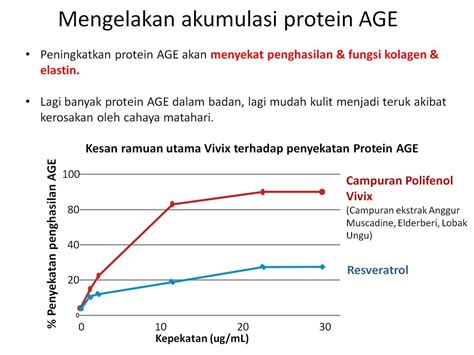 Apa Itu Protein Fungsional Apa Itu Age Protein Bagaimana Vivix Hot Sex Picture
