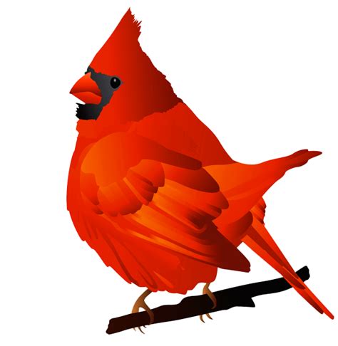 Free Cardinal Clipart Pictures Clipartix