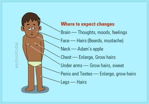 What Changes Can A Boy Expect At Puberty Find The Answers Here