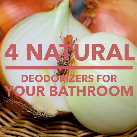 4 Natural deodorizers for your bathroom – Illumibowl