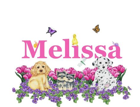 Name Melissa Wallpaper Wallpapersafari