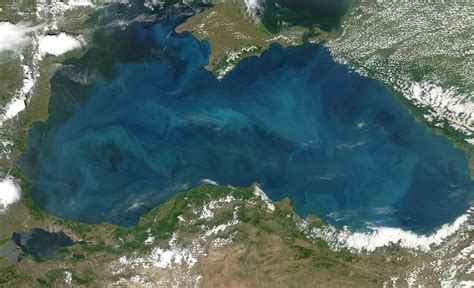 Nasa Visible Earth Phytoplankton Bloom In The Black Sea