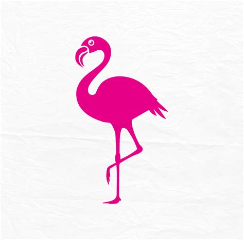 Flamingo Svg Flamingo Silhouette Zoo Svg Animal Svg Beach Etsy