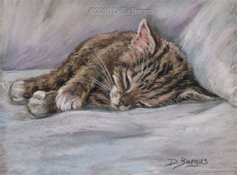 Art Helping Animals Sleeping Kitten By Della Burgus