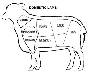 Lamb Meat Cuts Chart