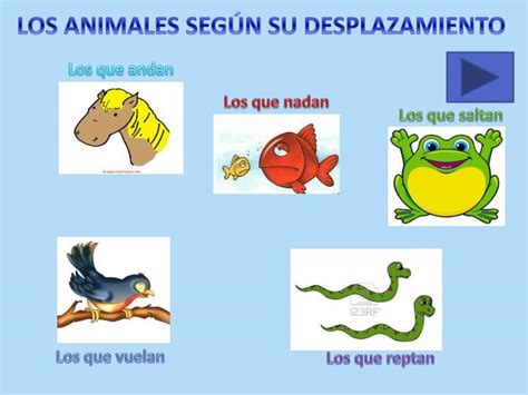 Ppt Los Animales Powerpoint Presentation Id2033069