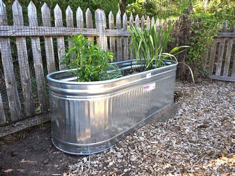 Large Metal Tubs For Gardening Beautiful Insanity
