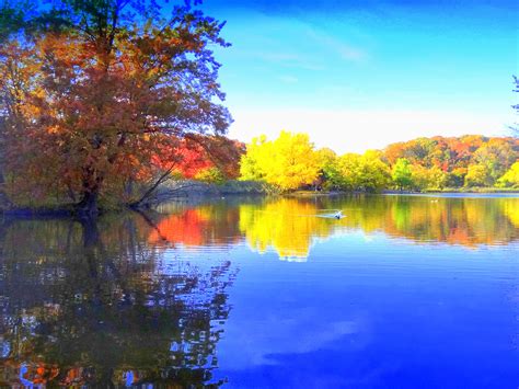 Wallpaper Reflection Nature Water Lake Leaf Autumn Sky Loch