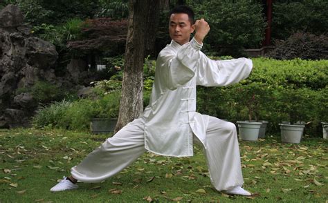 Chen Style Tai Chi Has Some Very Powerful Moves Tai Chi Tai Chi Chuan Kung Fu