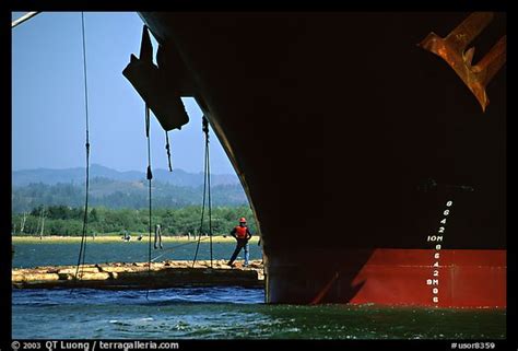 Picturephoto Cargo Ship Loading Floated Timber Coos Bay Oregon Usa