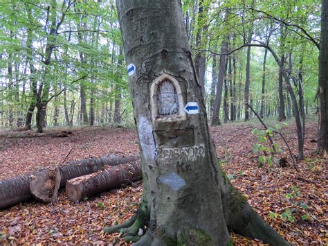 1 találat (+117 találat 30 km körzetben) térkép. Várgesztes Kirándulás - A zöld környezetben épült ...