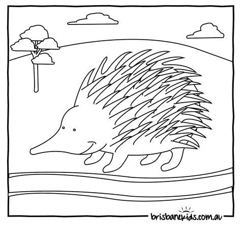 Sheets for preschoolers cover asian and african animals for their first geography lessons while bible scenes of noah s ark and the nativity animals are ideal free activities for sunday school. Australian Animals Colouring Pages | Brisbane Kids