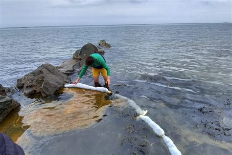 Human Hair To Clean Oil Spills In Oceans Newmobility News