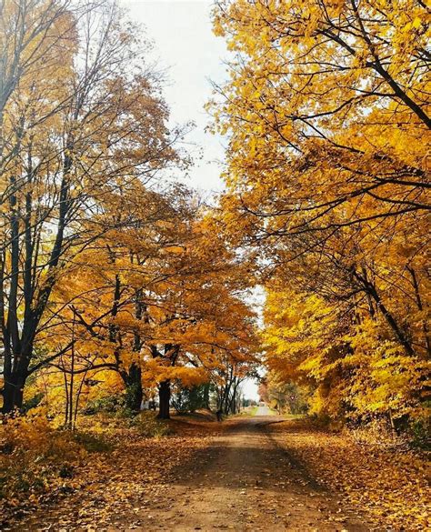 Autumn Road No Location Given By Artifact Uprising Cr🍂 Beautiful