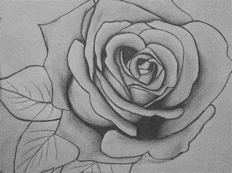 Pencil Rose Drawing By Kraylahi On Deviantart