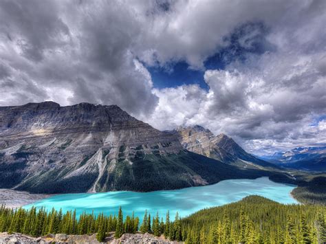 Banff National Park Of Canada Peyto Lake Icefields Parkway Canadian