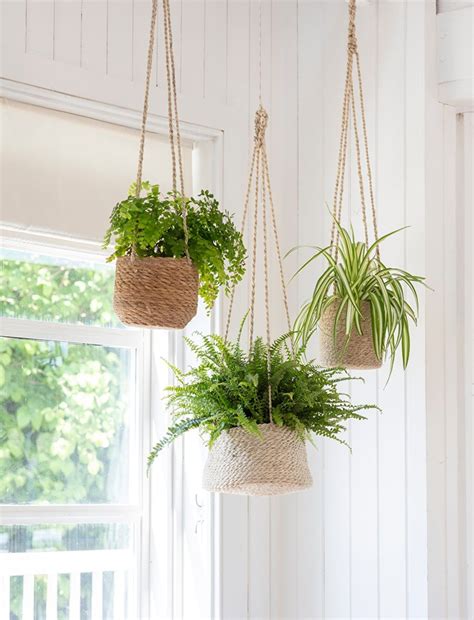 Hanging Plant Pot In 2020 Hanging Plants Indoor Plant