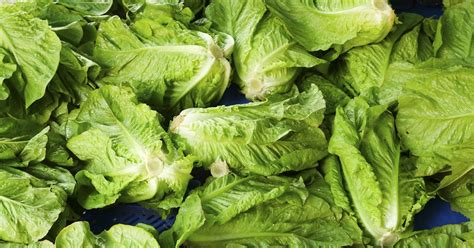 Romaine Lettuce Warning Cdc Finds E Coli Outbreak Before Thanksgiving