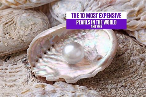 The 10 Most Expensive Pearls In The World And Why