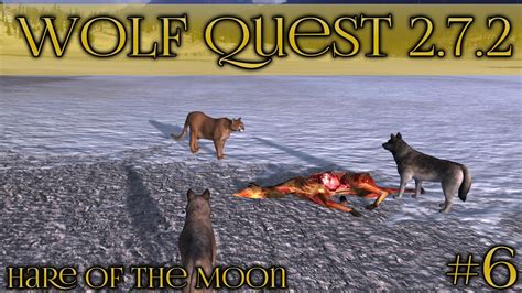 Facing Off Against A Cougar 🐺 Wolf Quest 272 Hare Of The Moon